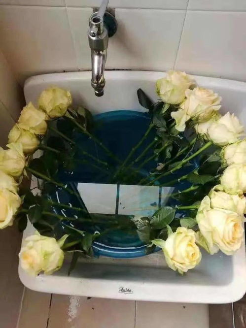 鲜花网套啥时候取下来 醒花的时候花网要拿掉吗