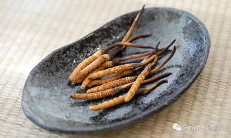鲜虫草的正确吃法大全 新鲜野生虫草的吃法大全