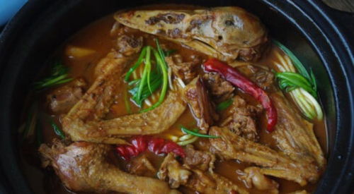 鸭子最喜欢你摸它哪 鸭子最爱吃的10种食物
