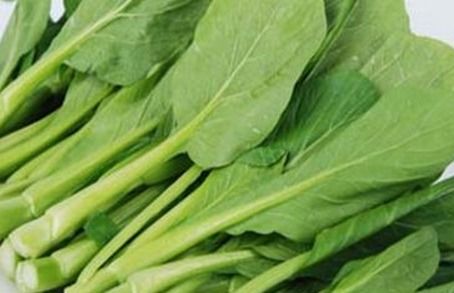 鸡腿芥兰种植方法和时间 鸡腿芥兰种子怎样播种