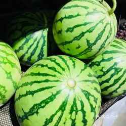 麒麟瓜为什么孩子不能吃 麒麟瓜是转基因水果吗