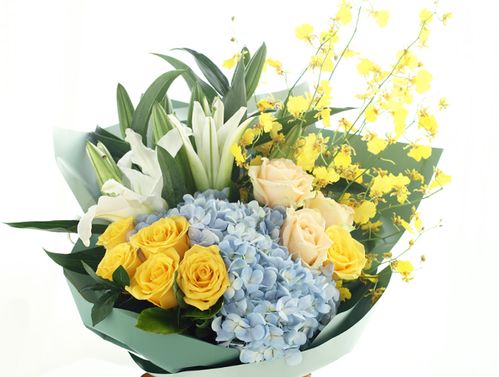 黄玫瑰代表啥意思 黄玫瑰适合送什么人