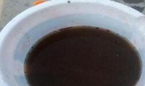 黄豆泡水臭了可以浇花吗 黄豆水适合浇哪些花