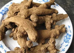 黄芪配知母不适宜人群 黄芪配知母可以长期服用吗
