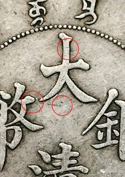 黑巴克是不是很难养 黑巴克适合新手吗