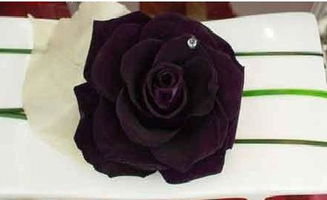 黑玫瑰不能随便送人 黑玫瑰有什么忌讳