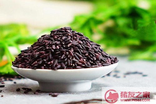 黑米不泡能直接煮吗 黑米忘了泡怎么快速煮熟