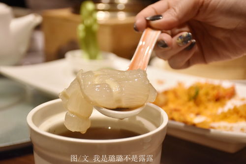 黑松露炖汤一次放几颗 长期吃黑松露的危害