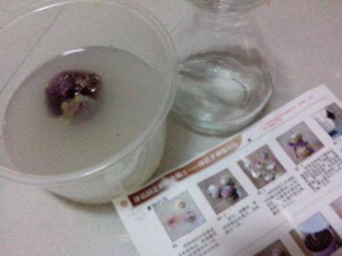 黑斑病用多菌灵有用吗 多菌灵什么时候用最好