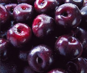 黑布林和黑布朗一样吗 女生吃黑布林的好处