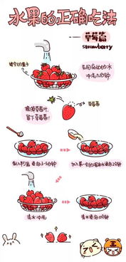 龙柳水培的正确方法 龙柳水养方法