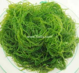龙须菜10种做法 龙须菜相克食物