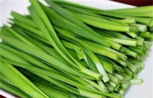 三伏天吃韭菜有危害吗 入伏不吃韭菜是啥意思