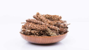 三种人不宜吃夏枯草 女性喝夏枯草有什么好处