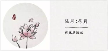 三月的代表花是什么花 1～12月各开什么花