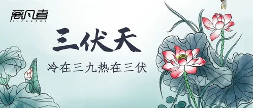 三伏天晒背竟然能治大病 三伏养生之晒背的注意事项