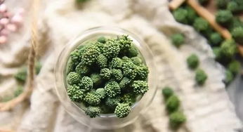 三七花副作用吓人 三七花有6种人不能吃