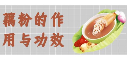 三种人不宜吃藕粉 为什么中医不建议吃藕粉