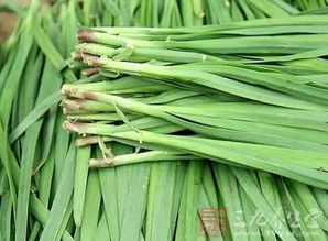 三种人少吃韭菜 种韭菜十大禁忌