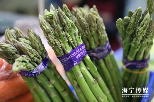 三种人不宜吃芦笋 为什么不建议种芦笋