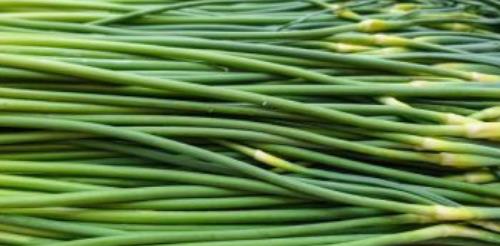 三种人不宜吃蒜苔 什么人不能吃蒜苔