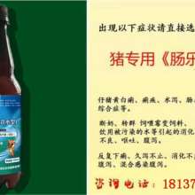 专治拉肚子的特效药 拉肚子必备三种药