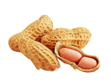 中医认为花生的功效 花生十大神奇功效