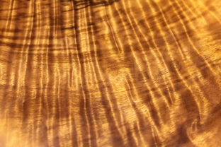 中国5棵最贵的树 最贵的木头排名金丝楠木