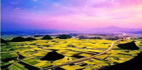 中国三大油菜花基地 中国十大油菜花景区
