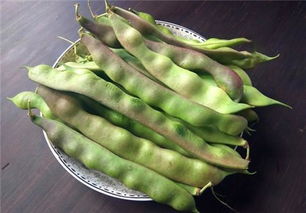 东北油豆角为什么南方种不了 豆角开花前用什么肥好