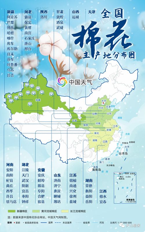 中国五大棉花产地 我国棉区划分五大棉区