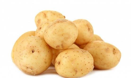 中国引进土豆第一人 请问一下是谁把土豆引入中国的