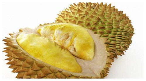 中国什么地方产榴莲最多 中国十大榴莲产地