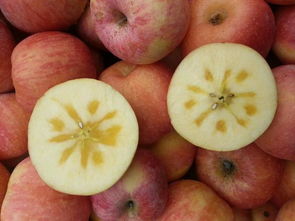 中国最出名的苹果 十大公认最好吃的苹果