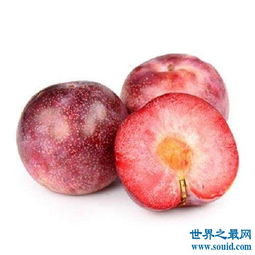 中国最甜的水果排名 十大最甜的水果