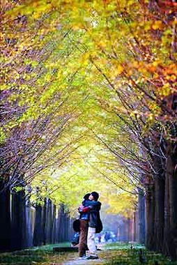 中国的国鸟国花国树 中国国草是什么草