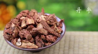 丹参的十大功效 丹参对男性性功能影响