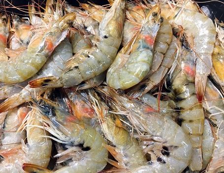 为什么不买鲜虾要买冻虾 为什么养虾人不吃虾