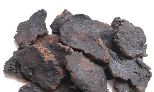 中药生地的功效和作用 生地的十大功效