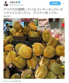 为什么日本人不吃榴莲 为啥远离吃榴莲的女人