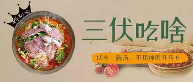 为什么夏天不能吃羊肉 立秋后吃羊肉合适吗