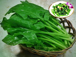 为什么菠菜不能经常吃 菠菜几天吃一次最好