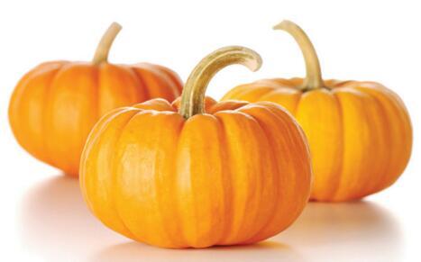 为什么说南瓜很毒 为啥中医不让吃南瓜