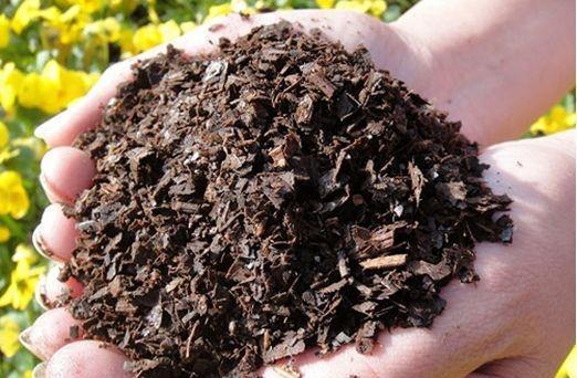 买的营养土种花都死了 营养土必须掺入自然土