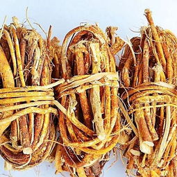 五指毛桃和土茯苓 六种人不宜吃五指毛桃