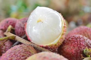 云南有什么特色水果 云南最著名10种水果图片