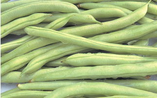 五种人不能吃豆角 糖尿病为啥不能吃豆角