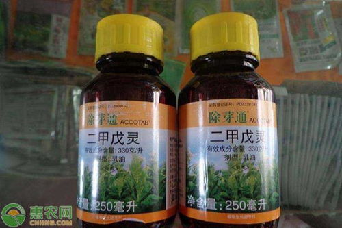 二甲戊灵的作用和功效 二甲戊灵打在苗上有害吗