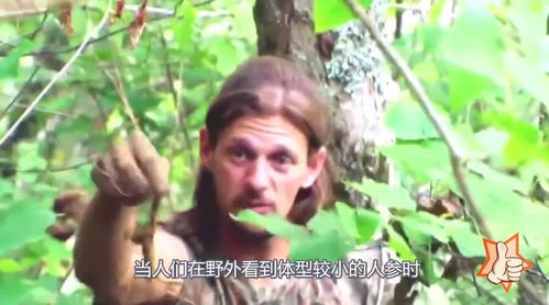 人参为什么会跑 人参逃跑全过程视频