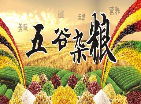 五谷杂粮哪五种 中国五谷是什么